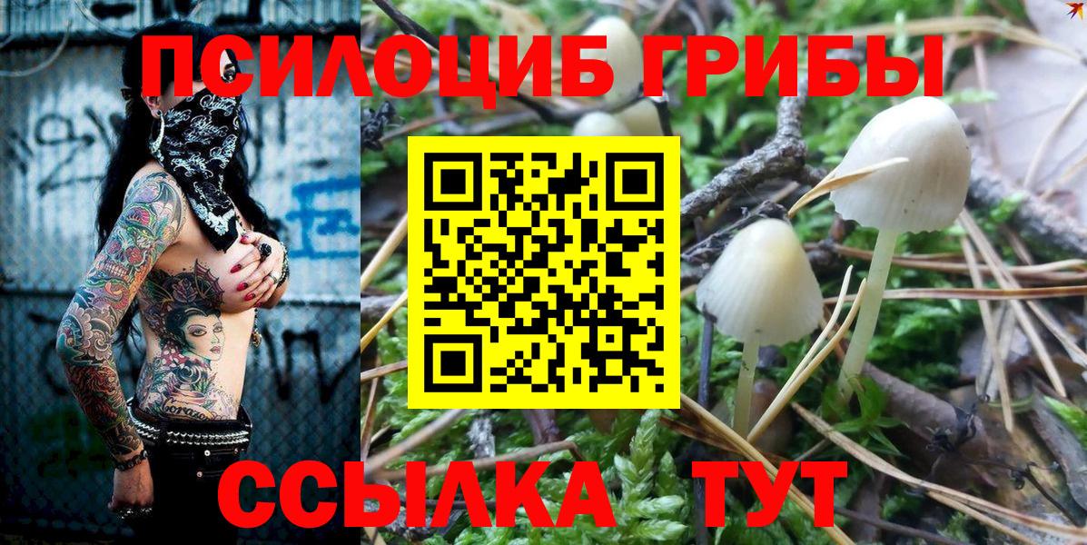 Галлюциногенные грибы Magic Shrooms  Вход с VPN  Мариинск 