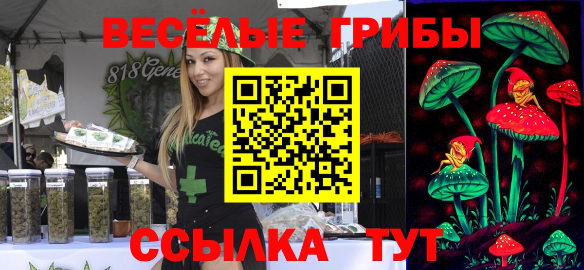 Псилоцибиновые грибы Psilocybine cubensis Мариинск